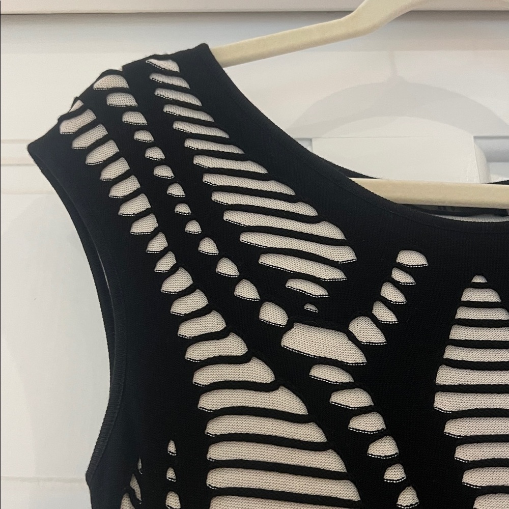 RVN Black and White Midi Dress - Picture 2 of 2